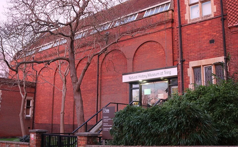 Natural History Museum at Tring